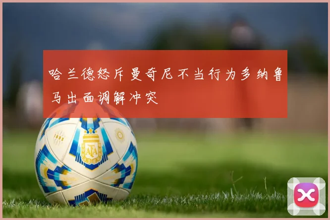 哈兰德怒斥曼奇尼不当行为多纳鲁马出面调解冲突